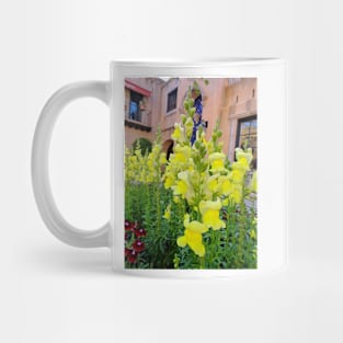 Sunny Snaps Mug